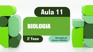 Biologia  Aula 11  Animais Invertebrados [upl. by Annorah]