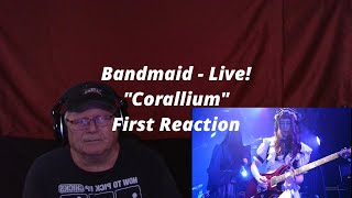 Bandmaid Live  quotCoralliumquot  First Reaction [upl. by Clarke]