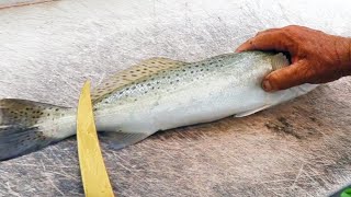 How To Fillet A Speckled Trout And Remove The Skin amp Bones [upl. by Stricklan825]