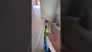 Carpet cleaning carpet cleaning professional service asmr steam cleaning Mr Sofa Kinsale [upl. by Schulein]