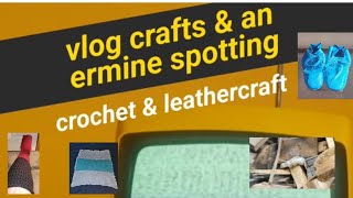 vlog crafts amp an ermine spotting [upl. by Alsworth686]