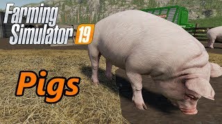 Farming Simulator 19 Tutorial  Pigs [upl. by Vanessa]