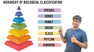 What is Taxonomic Heirarchy [upl. by Acinyt]