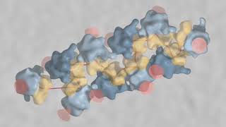 Helical polysome The protein synthesis machine of E coli [upl. by Ynahpit]