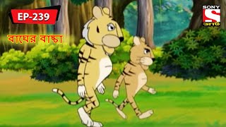 বাঘের বাচ্চা  Panchotantrer Montro  Bangla Cartoon  Episode  239 [upl. by Fortunna]