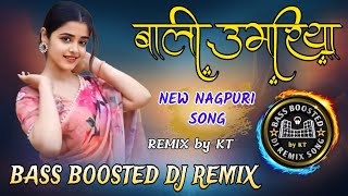 Bali Umariya  Nagpuri Video Song  Nagpuri DJ Remix Song  Bali Umariya Nagpuri Song DJ 2024 [upl. by Itnahsa]