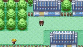 Pokemon Gaia v30  Where to get the White Herb [upl. by Ettennyl233]