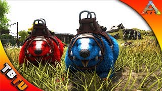 Ark survival Evolved Mutation Zoo E10  CASTOROIDES BREEDING AND COLOR MUTATIONS [upl. by Rubio962]