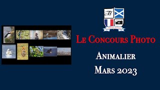 Concours Photo Catégorie Animalier Mars 2023 [upl. by Groveman]