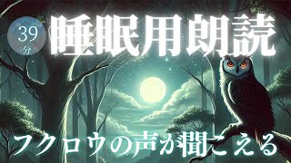 『フクロウの声が聞こえる』寝落ちできる読み聞かせ朗読【睡眠導入】 [upl. by Ab]