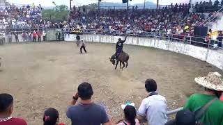 Rodeo Montubio Bucay 2018 [upl. by Nnyled197]