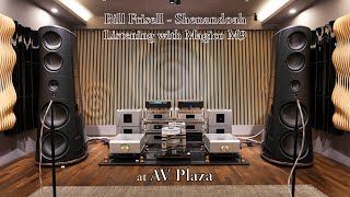 Bill Frisell  ShenandoahFor Johnny Smith Magico M9  CH Precision M10  L10  T1  C1  Nagra HD [upl. by Ahsenom]