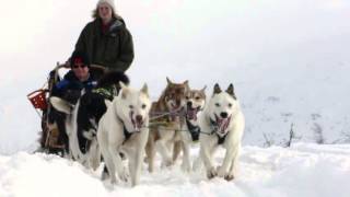 Dog Sledding in Norway [upl. by Keever]