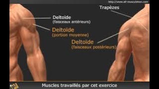 4 exercices dépaules [upl. by Yrelbmik]