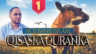 QISASKA QURANKA 📜 XALAQADII 1AAD ┇ SICII BANII ISRAAIIL 🐂 ᴴᴰ┇ ShAbubakar Xoosh [upl. by Pamella50]