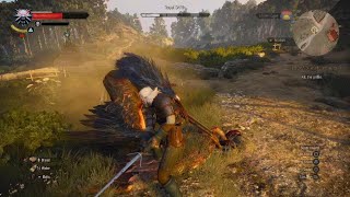 The Witcher 3Royal Griffin DEATH MARCH [upl. by Rolyks406]