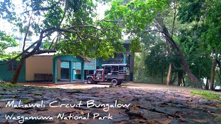 Mahaweli Wildlife Circuit Bungalow  Wasgamuwa National Park  Sri Lanka [upl. by Esoryram48]