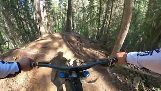 Moose Powder  Panorama Bike Park  Invermere BC [upl. by Quiteri]