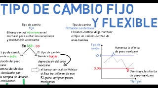 Tipo de cambio fijo y flexible  Cap 16  Macroeconomía [upl. by Arahc289]