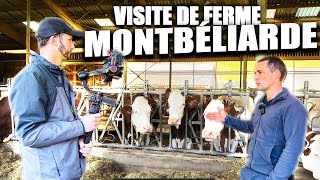 VISITE DUNE FERME LAITIERE🤠  EN CHARTREUSE  VACHE MONTBELIARDE🐄 [upl. by Daffodil709]