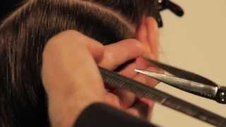 ZELJKO ACADEMY amp SUBRINA step by step  color and cut [upl. by Aleek]