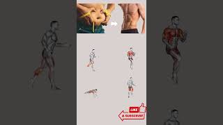 Effective Cardio Workout at Home No Equipment Exercises for Fat Burn amp Endurance homeworkoutguide [upl. by Adnorat]