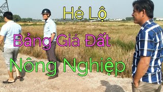 Tin Vui Cho Người Saigon Có Đất Nông Nghiệp [upl. by Kelda]