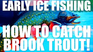 HOW TO CATCH BROOK TROUT ON EARLY ICE  Catch and Cook [upl. by Annoirb]