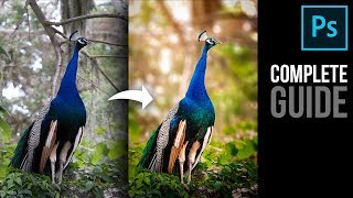 Complete Photoshop Guide Blurring the Background and Adding Bokeh [upl. by Mcwilliams445]