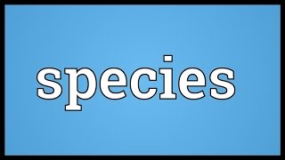 Species Meaning [upl. by Orvie]