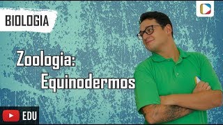 Biologia  Zoologia Equinodermos [upl. by Monti]