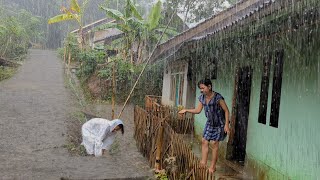 Super heavy rain and strong winds in my village  Sleep instantly with the sound of heavy rain [upl. by Bonis619]