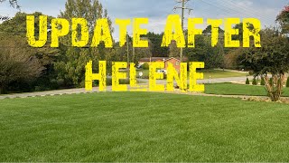 Lawn Update After Hurricane [upl. by Elwina]