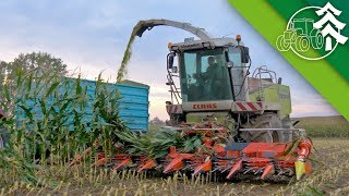 Mais Häckseln  2x Claas Jaguar 870  Fendt Traktoren  Ringberg BioEnergie  2017 [upl. by Indyc961]