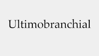 How to Pronounce Ultimobranchial [upl. by Lorolla]