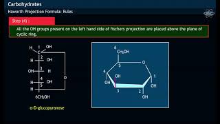 WHAT IS PYRANOSE STRUCTURE amp HAWORTH PROJECTION FORMULA OF GLUCOSE [upl. by Anett312]