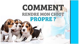 COMMENT RENDRE MON CHIOT PROPRE [upl. by Maze]