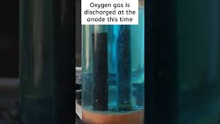 Edexcel Core Practical 4  Copper sulfate electrolysis  GCSE Chemistry Revision chemistry [upl. by Phemia268]