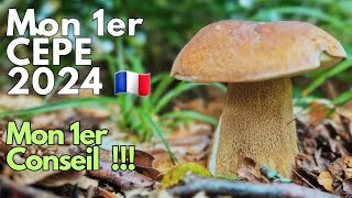 Mon 1er cèpe 2024 mon 1er conseil  cepes 2024 nature asmr [upl. by Hendricks]