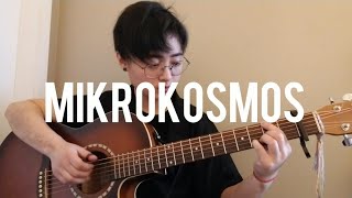 BTS 방탄소년단  Mikrokosmos 소우주 Fingerstyle Guitar Cover wchords [upl. by Goodden]