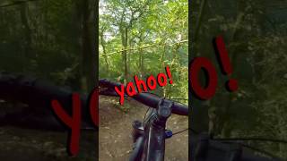 How to stop mtb brake pads wearing 🤪shorts mountainbiking [upl. by Leal]