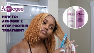 HOW TO APHOGEE TWO STEP PROTEIN TREATMENT ON BLEACHED HAIR [upl. by Brieta668]