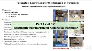 Part 12 Baermann test for the isolation of larvae [upl. by Ailasor]