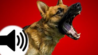 Dogs Barking Sound Effect [upl. by Etnovahs370]