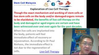 Benefits of Live Cell Therapy  Live Cell Therapy For Cellular Regeneration [upl. by El487]