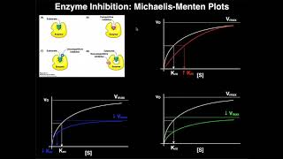 Enzyme Inhibitors  Mechanisms MichaelisMenten Plots amp Effects [upl. by Iaj74]