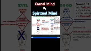 Carnal Mind Vs Spiritual Mind god jesus biblestudy [upl. by Eceinej]