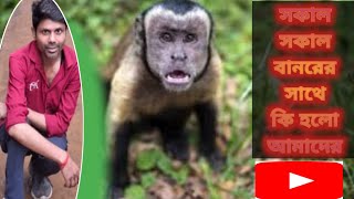 The Day Humanity Changed Forever  The Most Important Day 🐒🐒🐒 humanity animal youtubevideo [upl. by Ibmat]