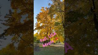 Natures best fall USA [upl. by Orelee]