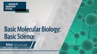 Basic Molecular Biology Basic Science – RNA Structure [upl. by Gretna]